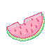 watermelon b
