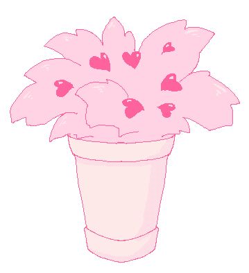 a potted plant with heart-shaped flowers